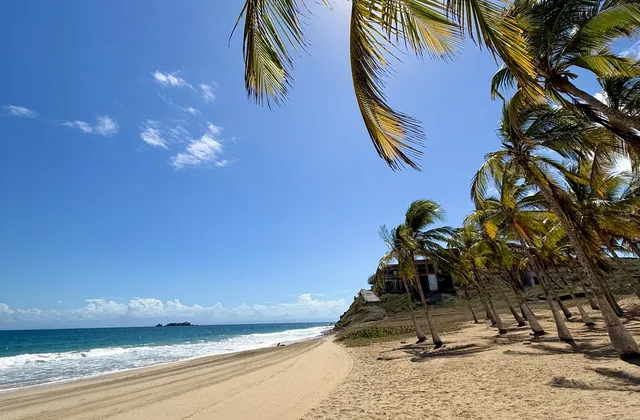 Palmeras y arena en Playa El Ángel